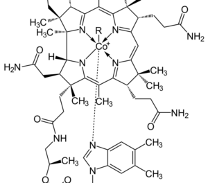 Visualisation de la vitamine B12