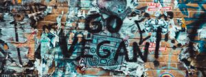 Graffiti bleu et blanc sur le mur - Go Vegan