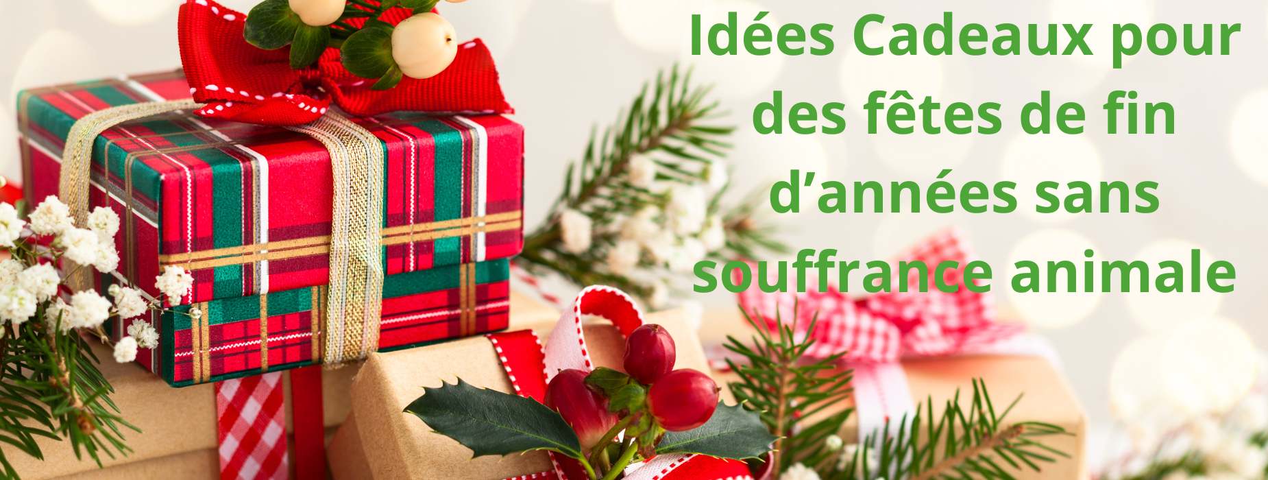 Idées de cadeaux pour des fêtes de fin d'année vegan